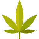 WOOM HERBAL+ - naturalna ziołowa pasta do zębów z wyciągiem z konopii do ochrony dziąseł